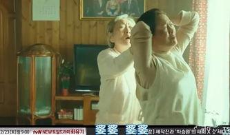 催泪吃瓜视频大全,感受人间百态