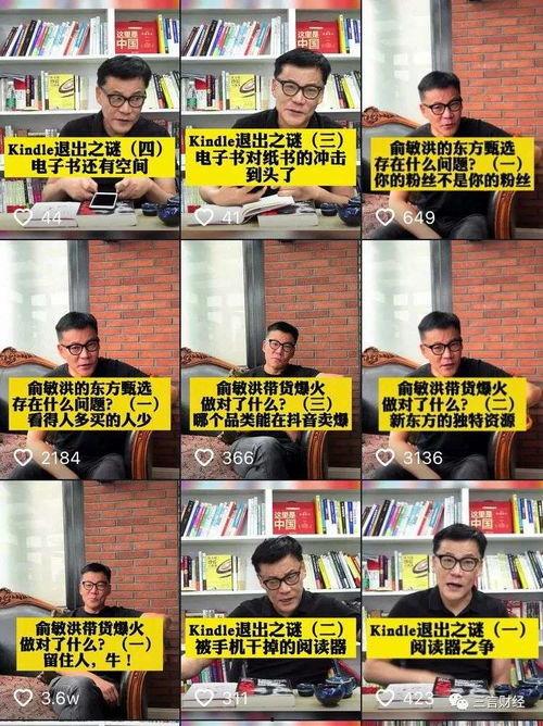 东方甄选团建爆料视频,团队风采与凝聚力大展示