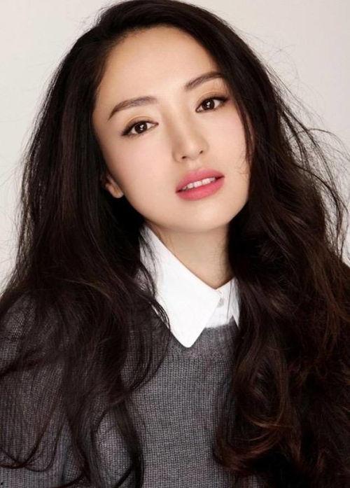 董璇大陆明星系列,璀璨星途，魅力绽放