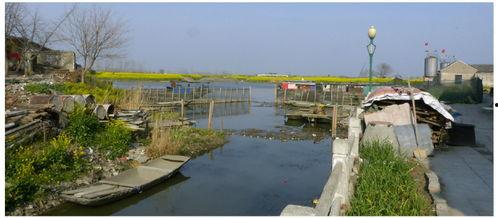 泰州兴化沙沟镇新闻头条,沙沟镇焕新颜，乡村振兴战略成效显著