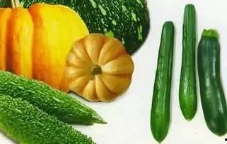 济宁最近吃瓜,揭秘本地热点事件背后的故事