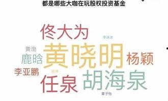 明星股权惨案,揭秘娱乐圈背后的股权争夺战