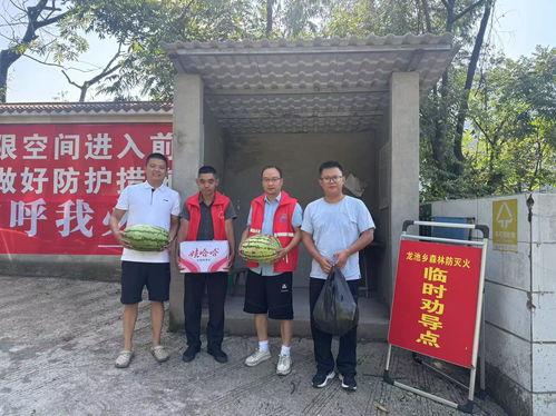 蒲城龙池乡新闻头条,乡村振兴战略下的龙池新篇章