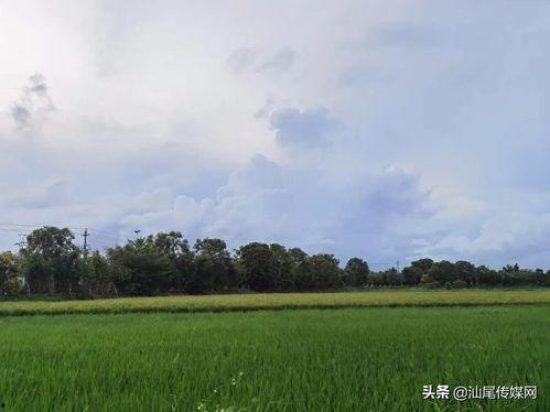 网红戏子干点正事不,聚焦正能量事业