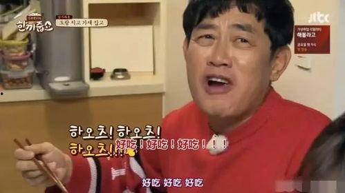 韩国明星家庭势力,明星家族的荣耀与传承