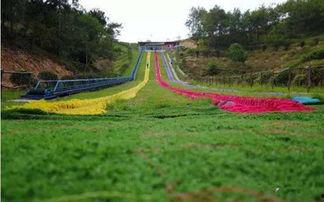 今日头条黄冈花海图片,春意盎然美不胜收