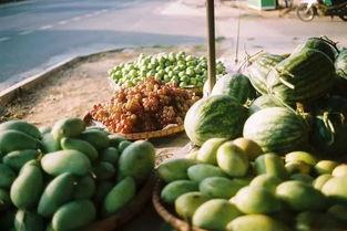 台湾美食吃瓜群众视频,吃瓜群众眼中的风味盛宴